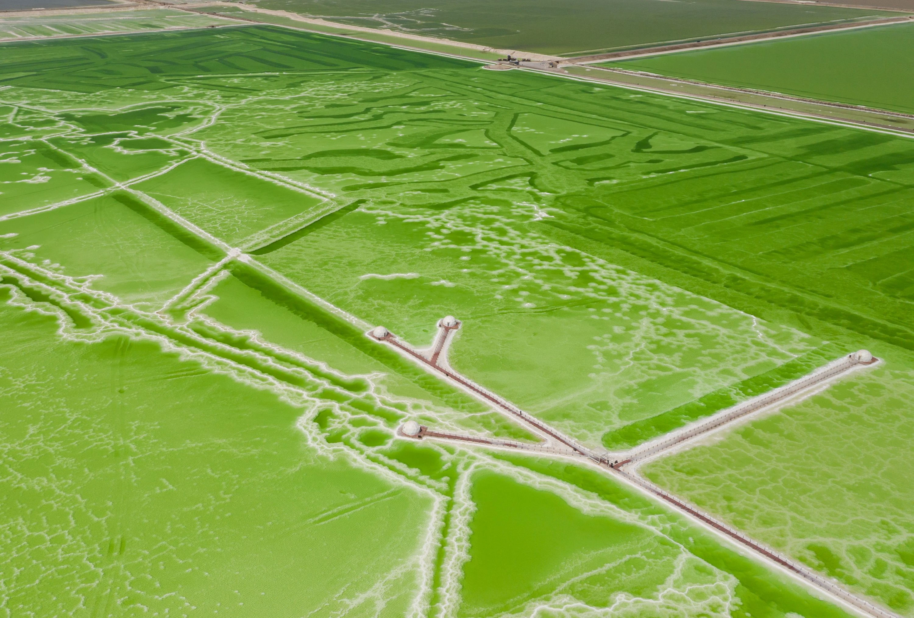 察爾汗鹽湖(含★電瓶車)