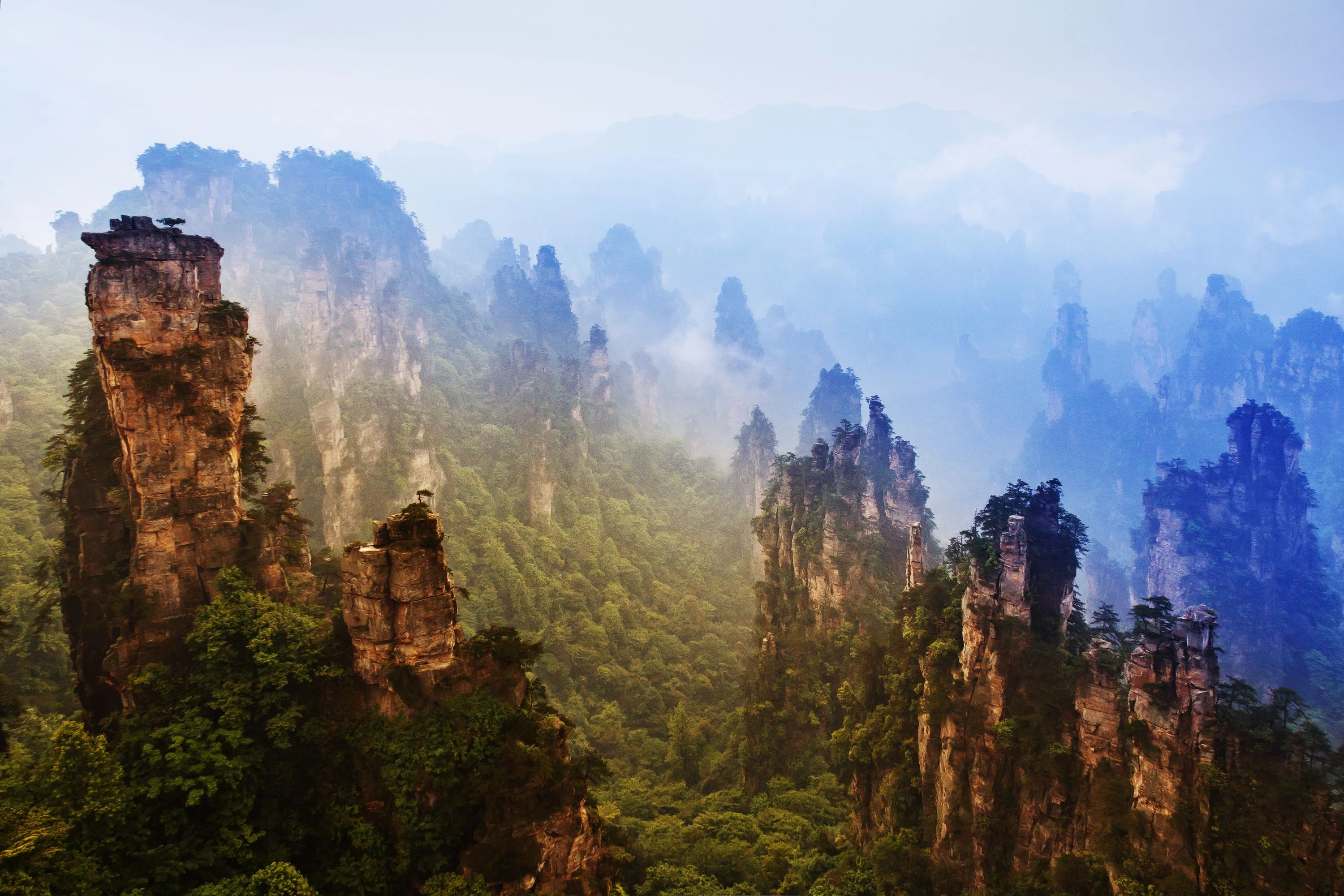張家界森林公園(★VIP環保包車)