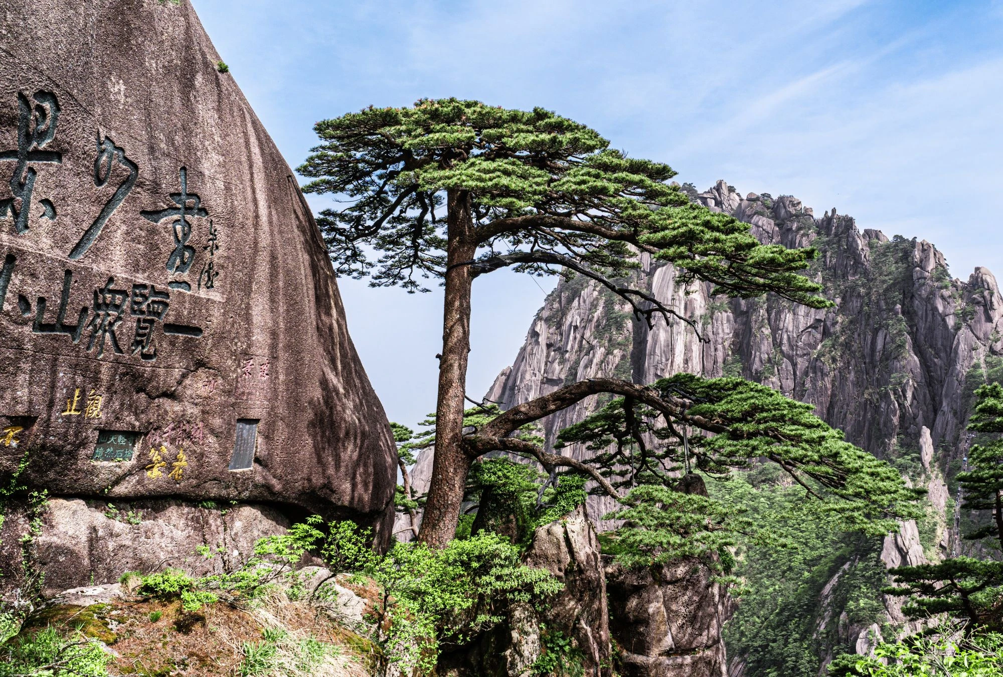 玉屏景區-迎客松