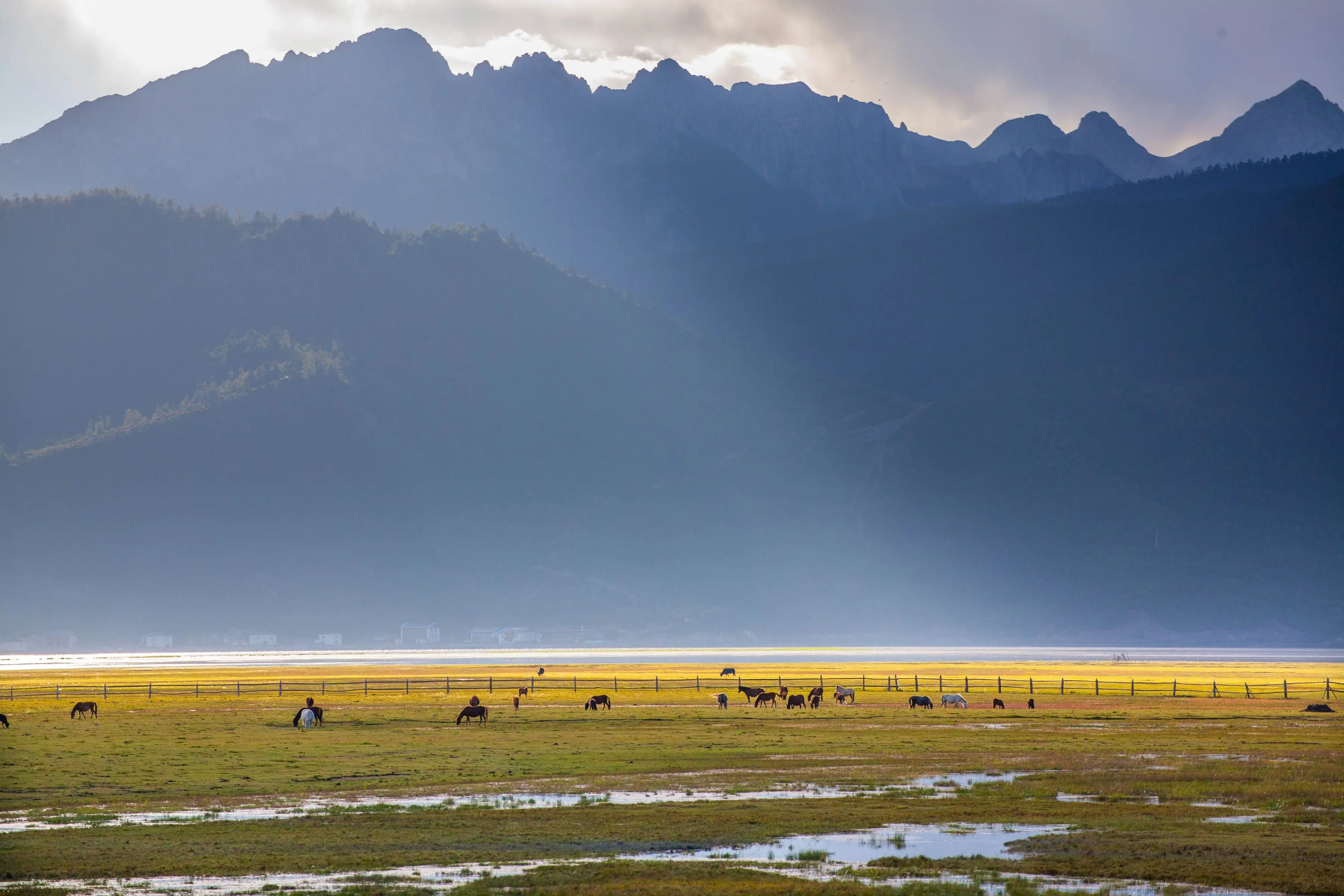 納帕海