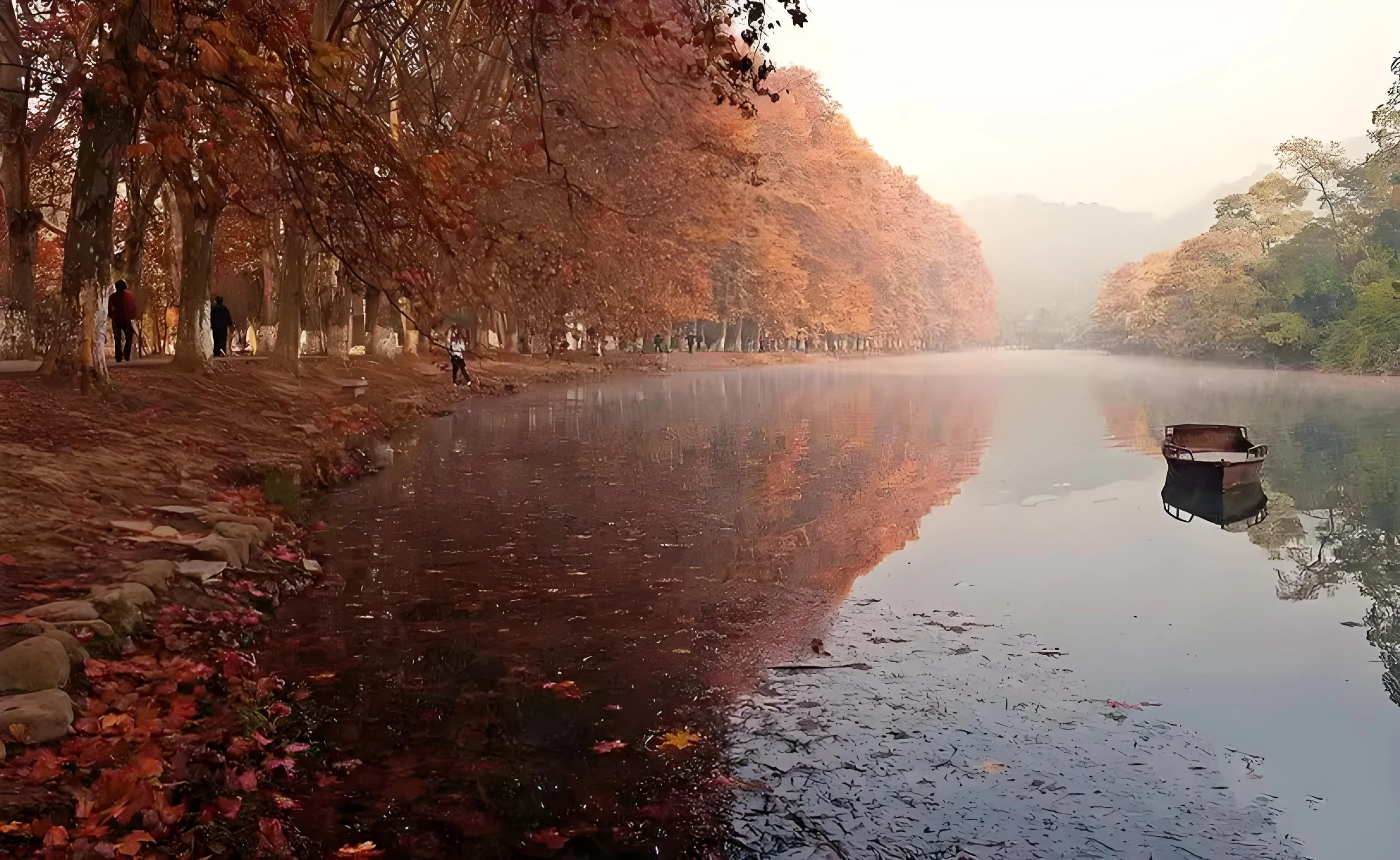 花溪公園黃金大道