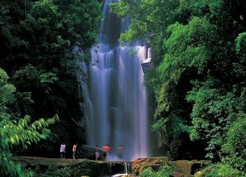 燕子岩(含纜車上下)