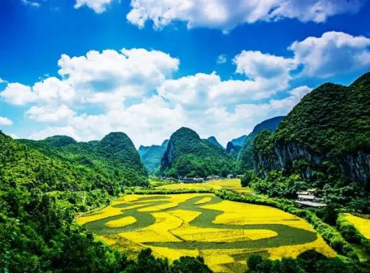 龍宮龍字田