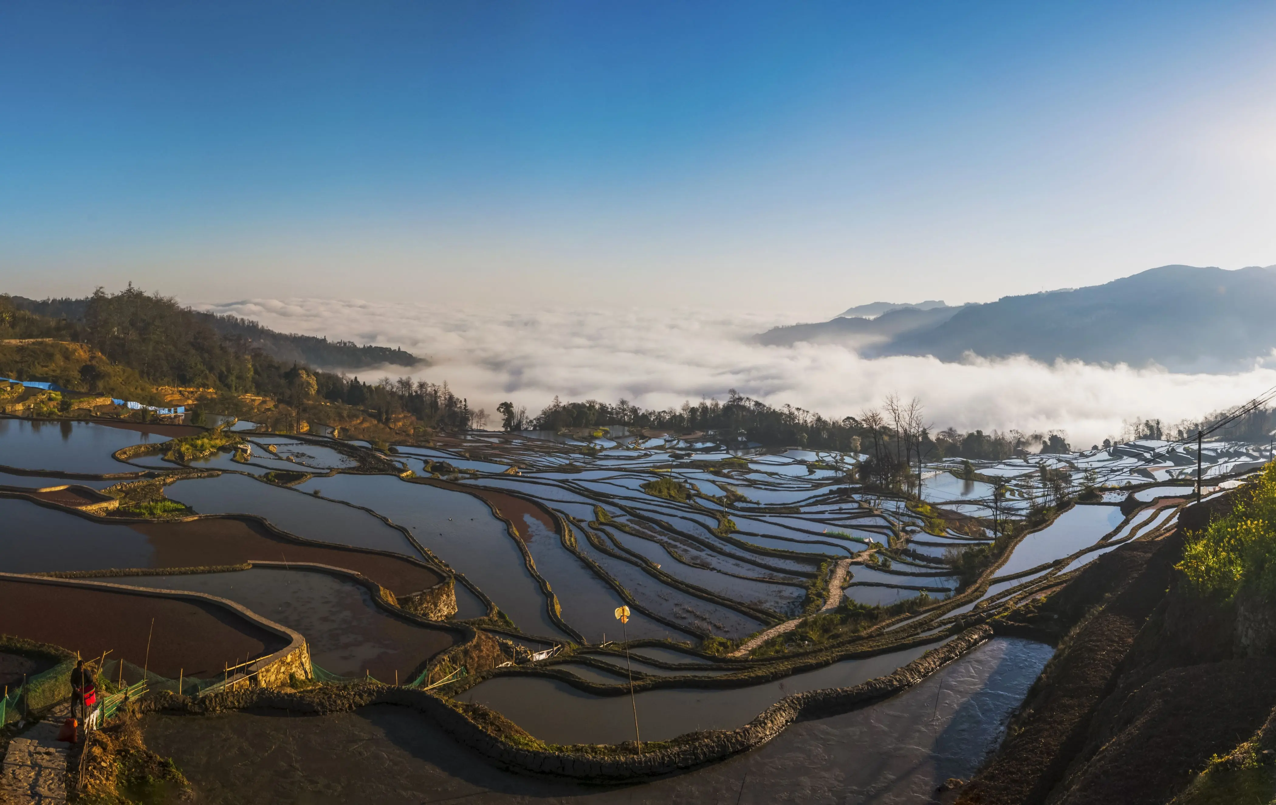 菁口梯田