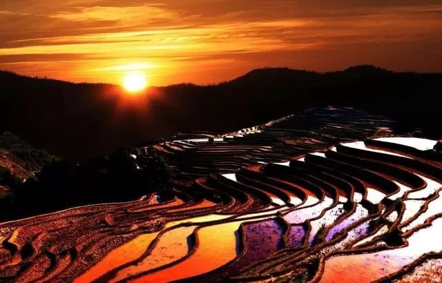壩達梯田(觀日落)