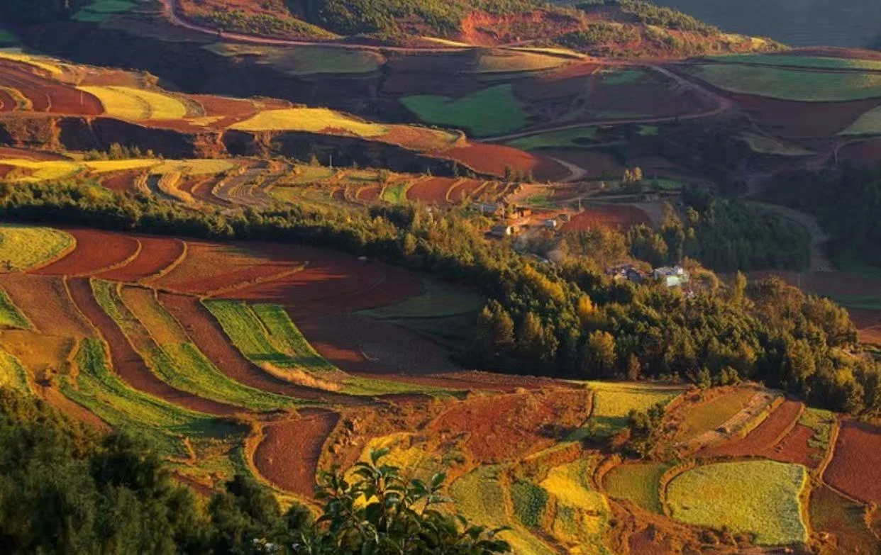 東川紅土地-打馬坎