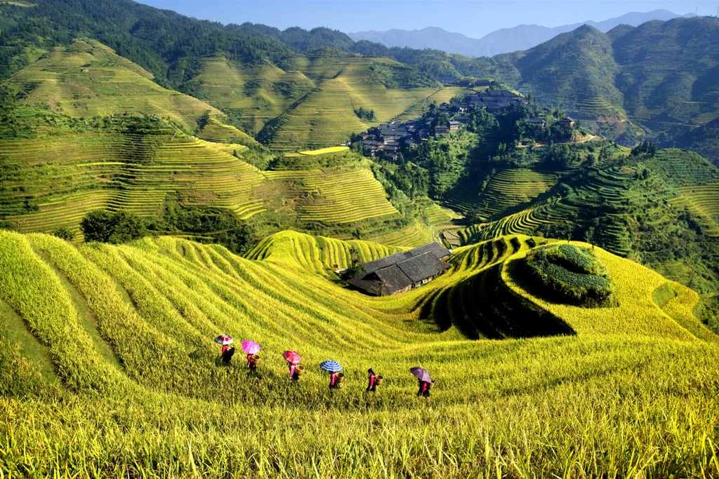 金佛頂觀景台(★纜車上下)