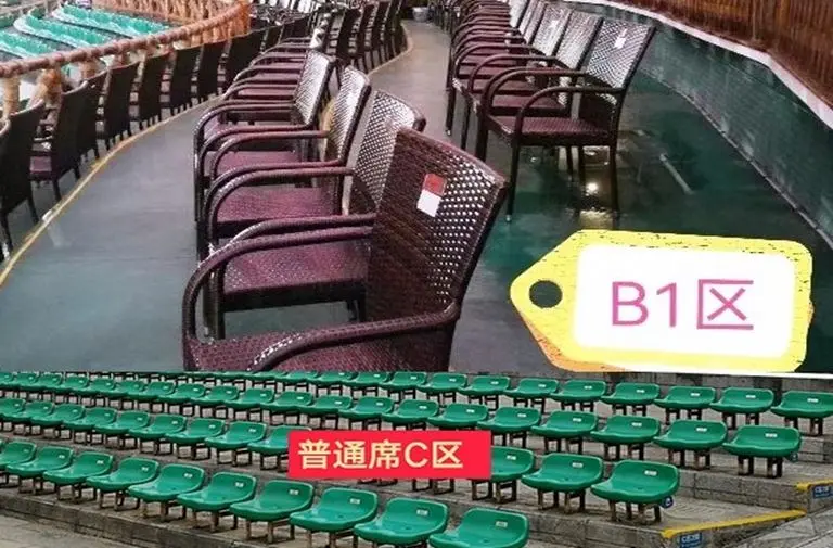 印象．劉三姐(VIP-B1藤椅席和一般座位比較圖)