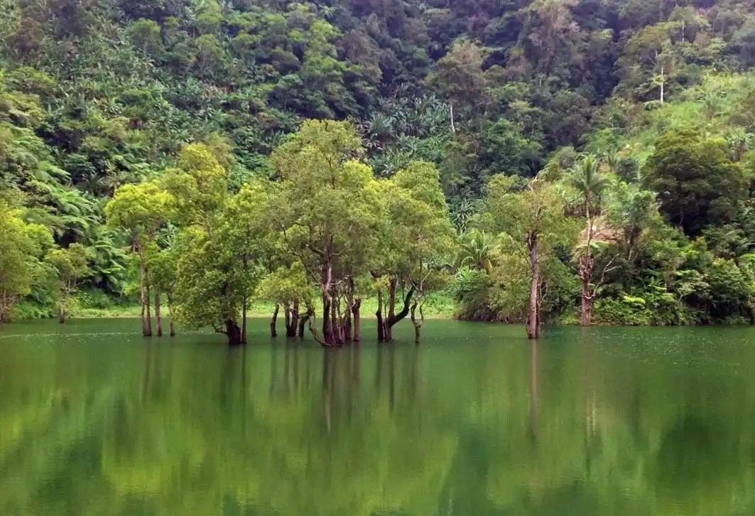 尖峰嶺國家森林公園