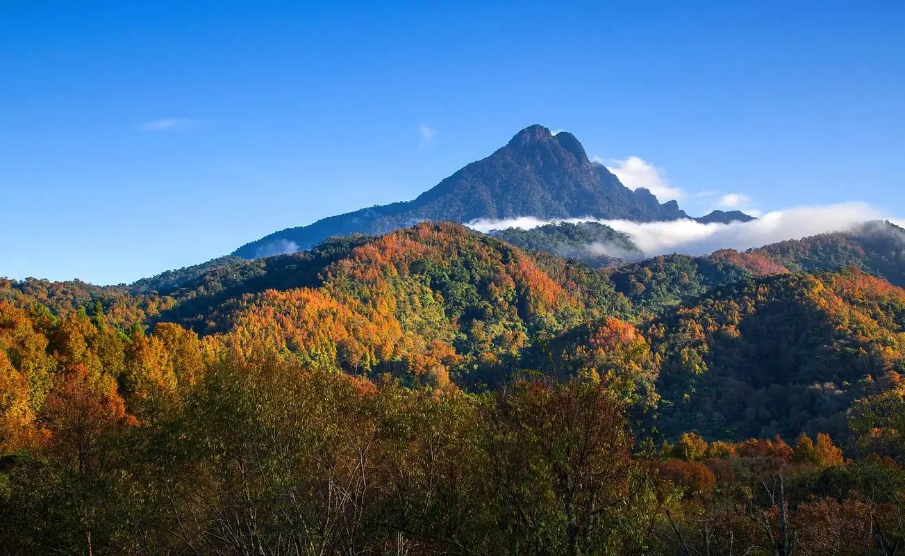 五指山