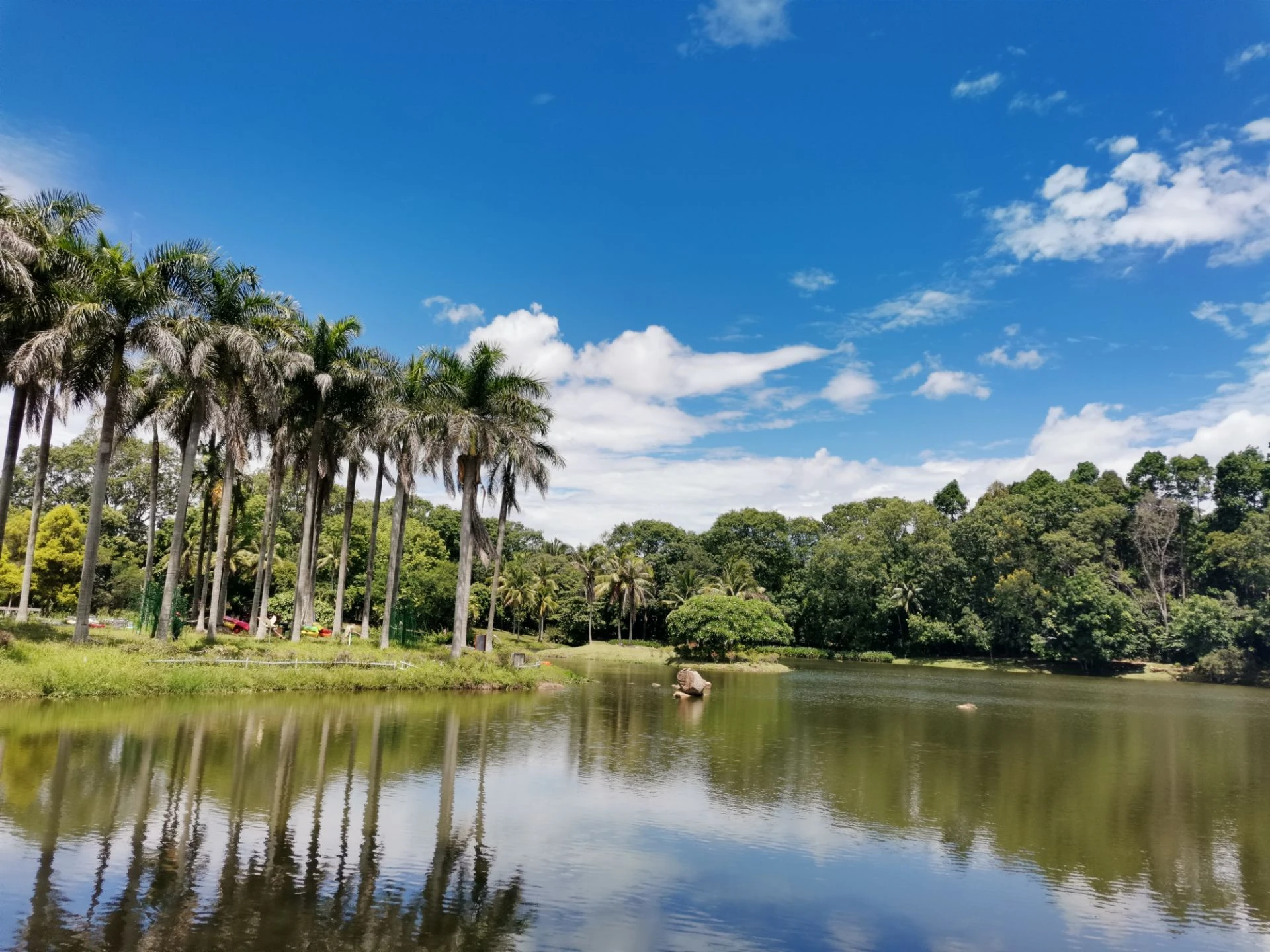 熱帶植物園(含★電瓶車)