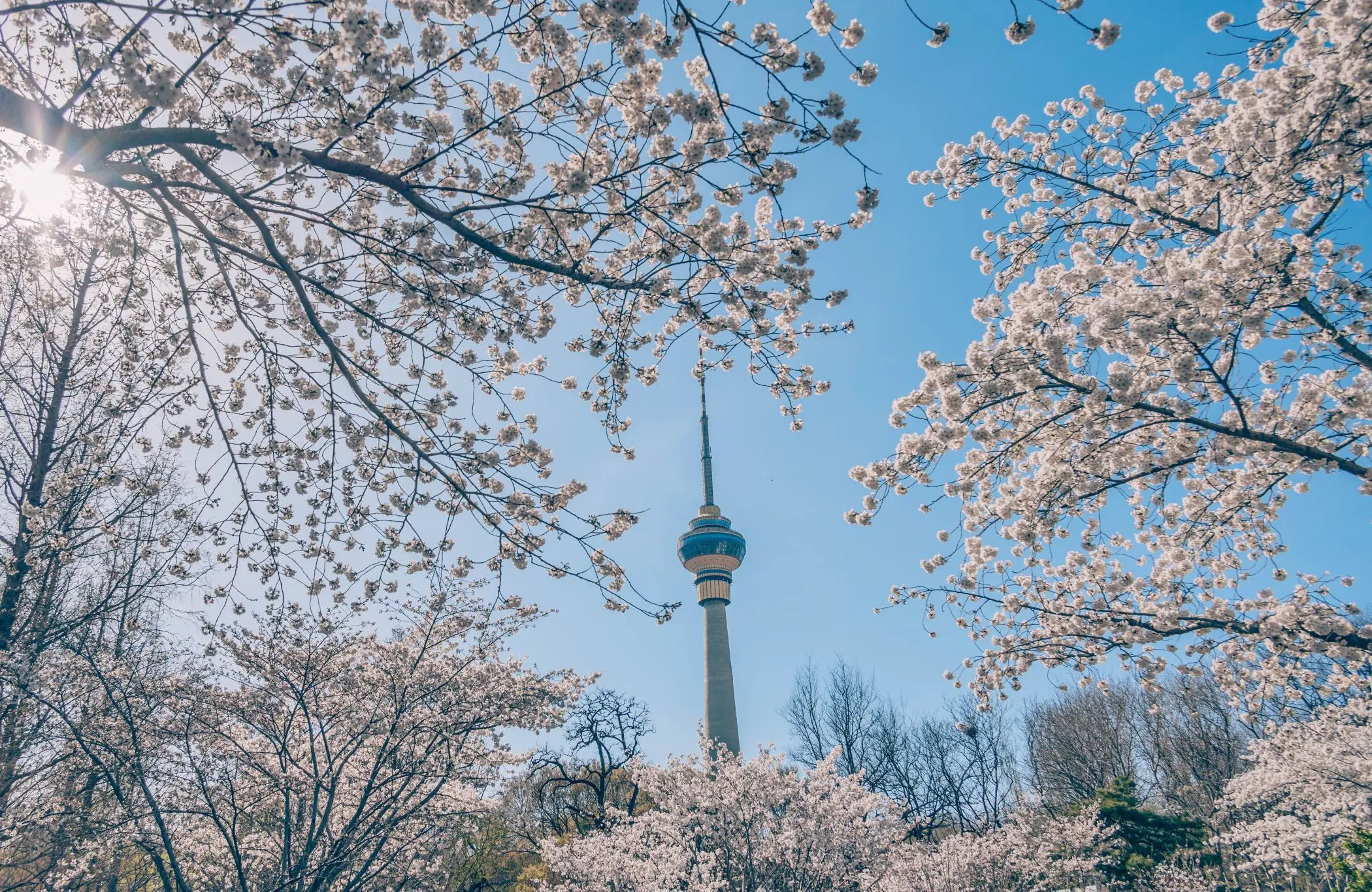 玉淵潭公園
