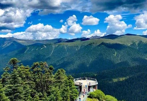 魯朗林海觀景台(海拔4300米)