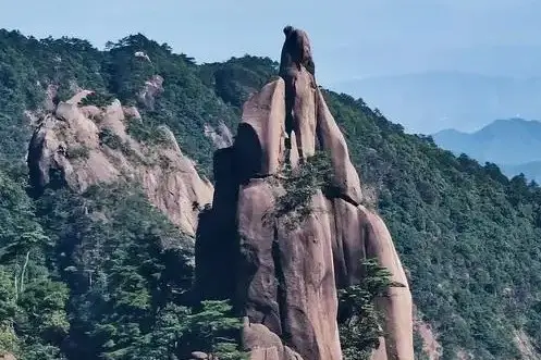 老道拜月