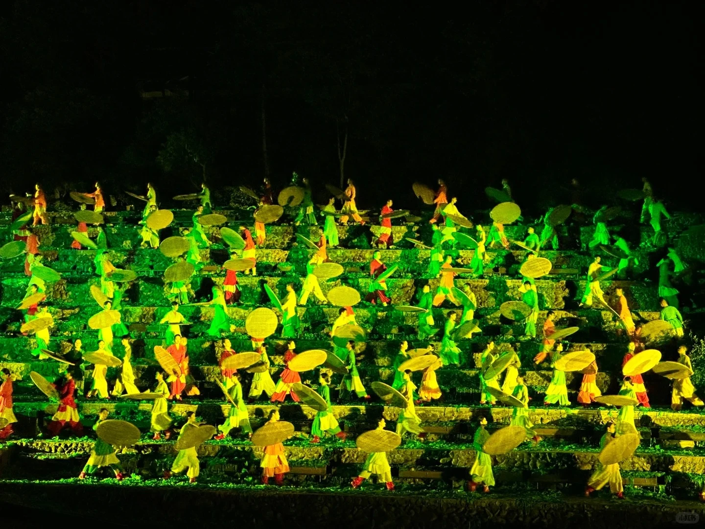 印象大紅袍(VIP A席)