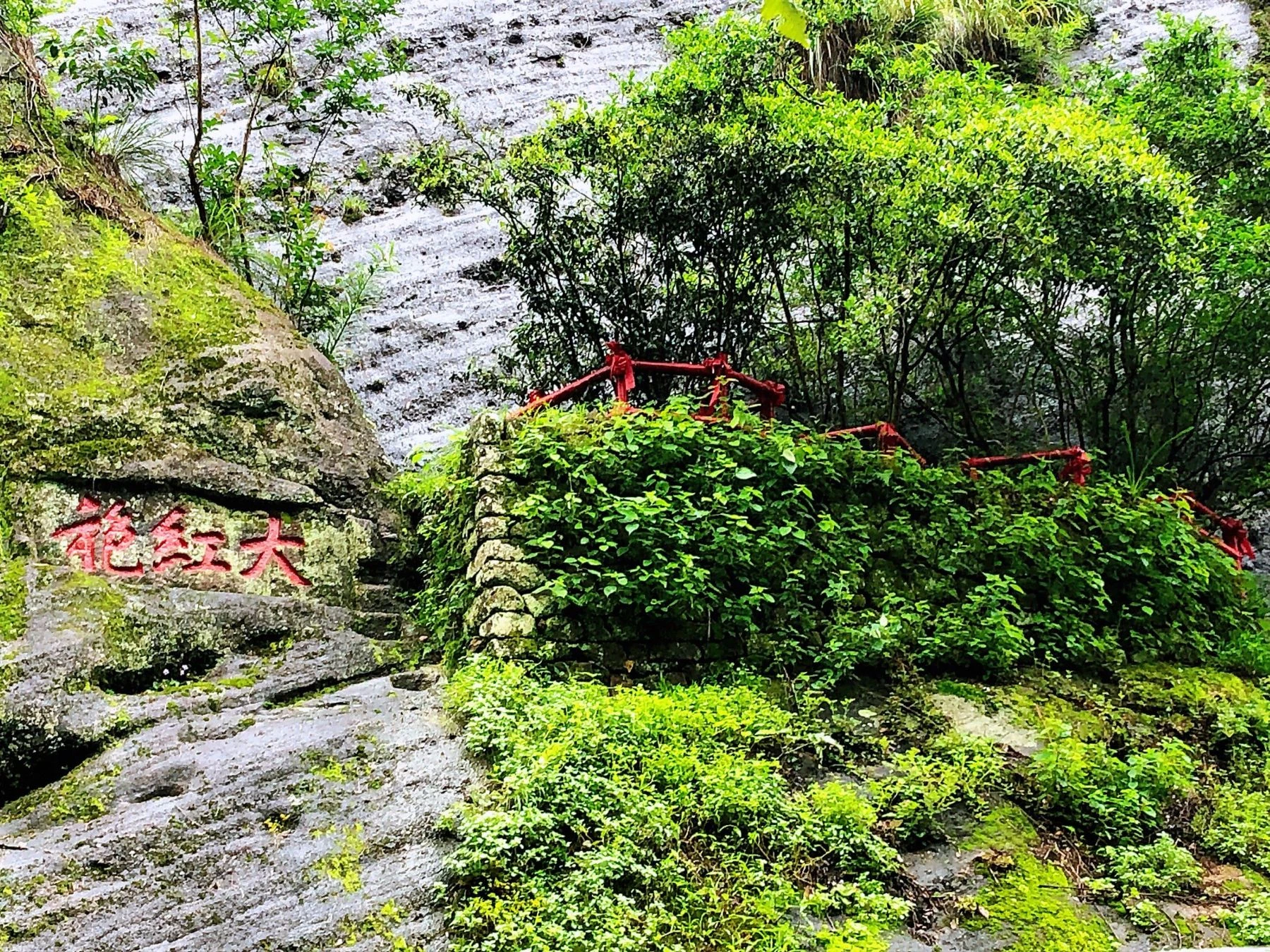 大紅袍景區