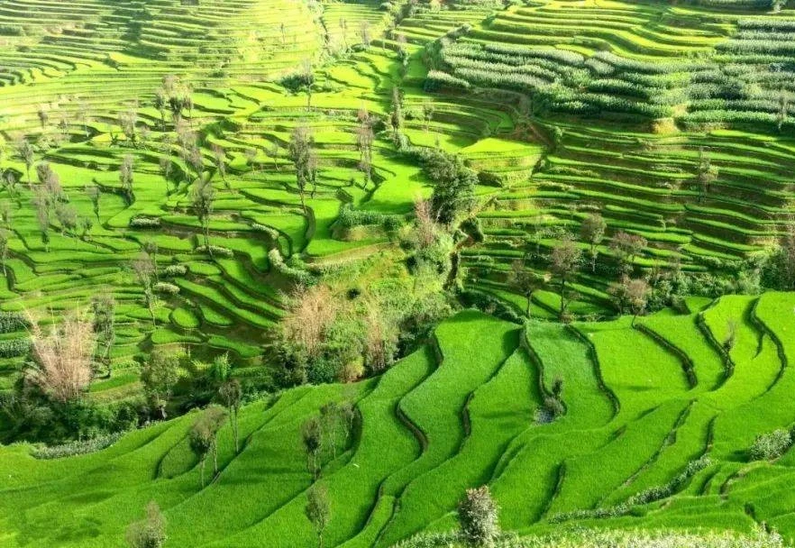 壩達梯田(觀日落)*