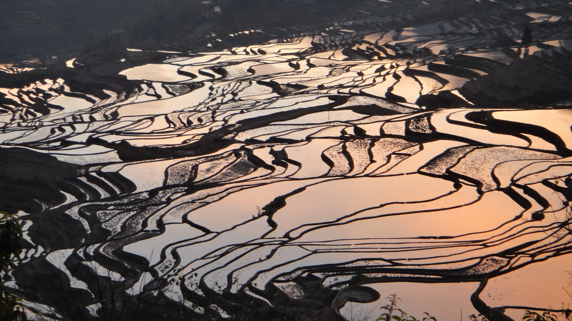 多依樹景區(觀日出)