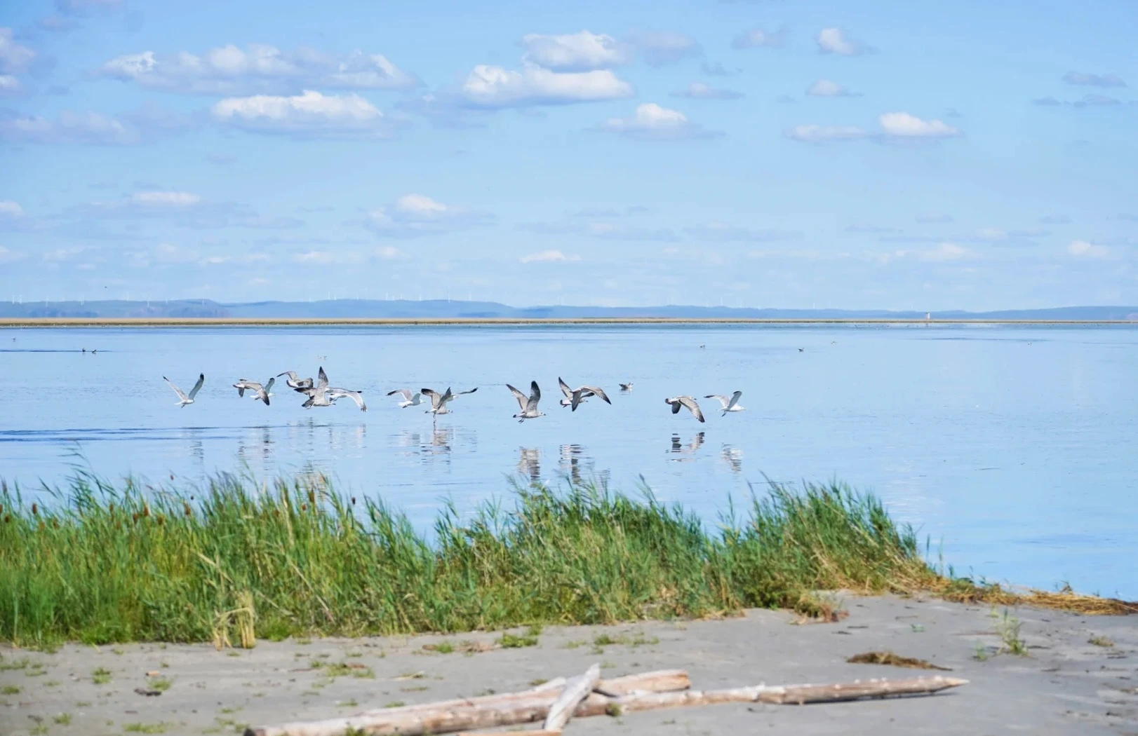 達里湖南岸景區