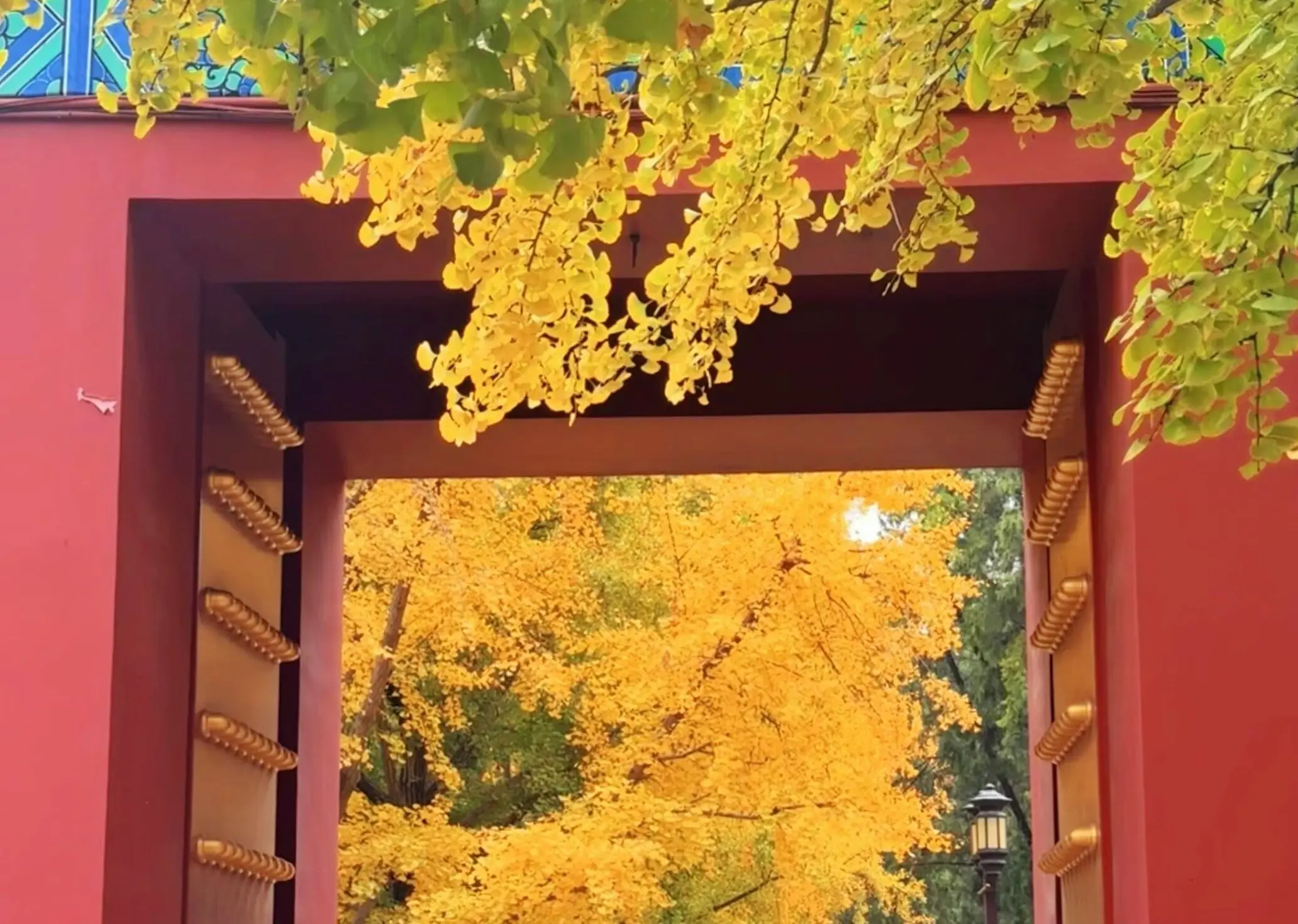 地壇~賞銀杏