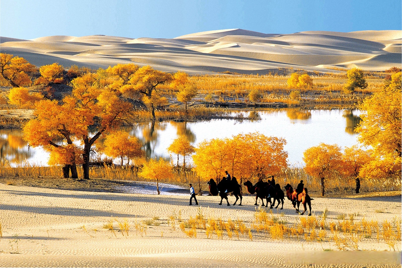 羅布人村寨(★含沙漠駱駝騎行)