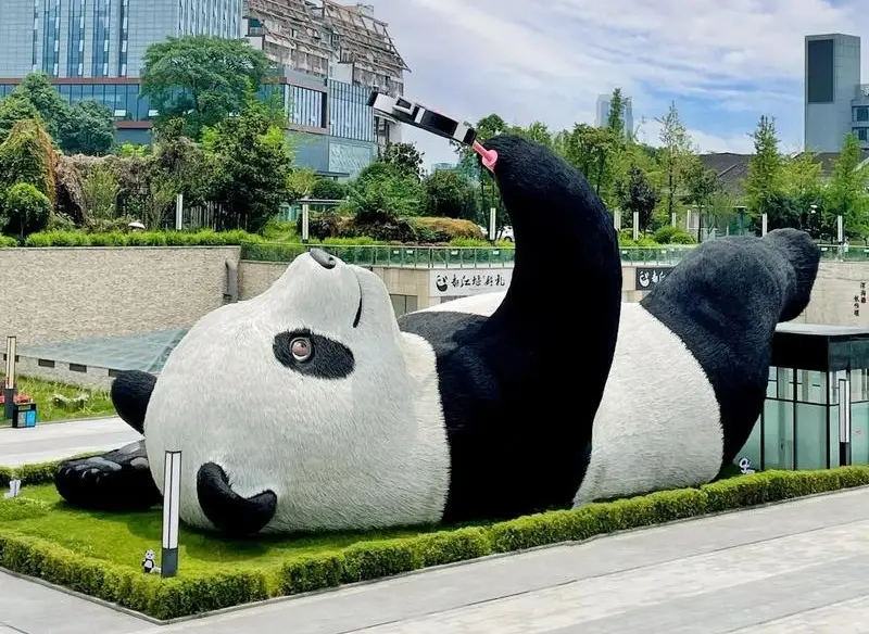 仰天窩自拍熊貓