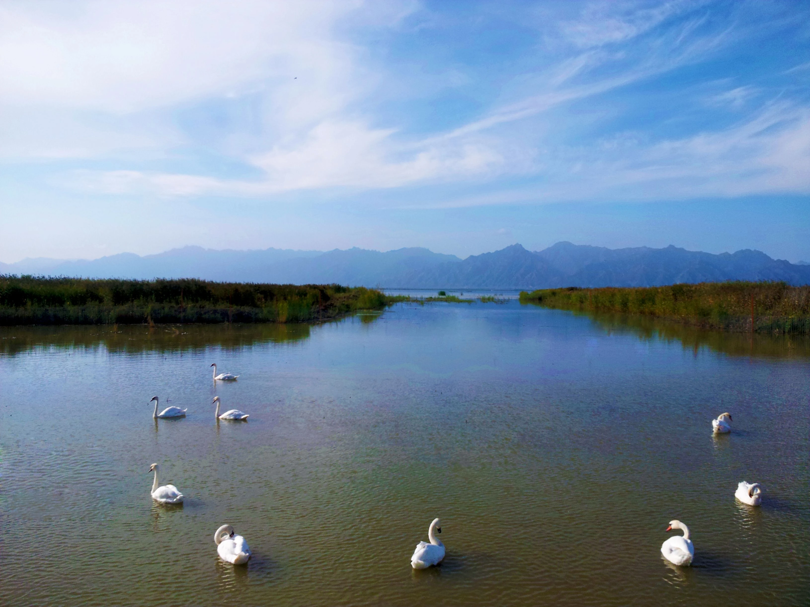 哈素海國家濕地公園