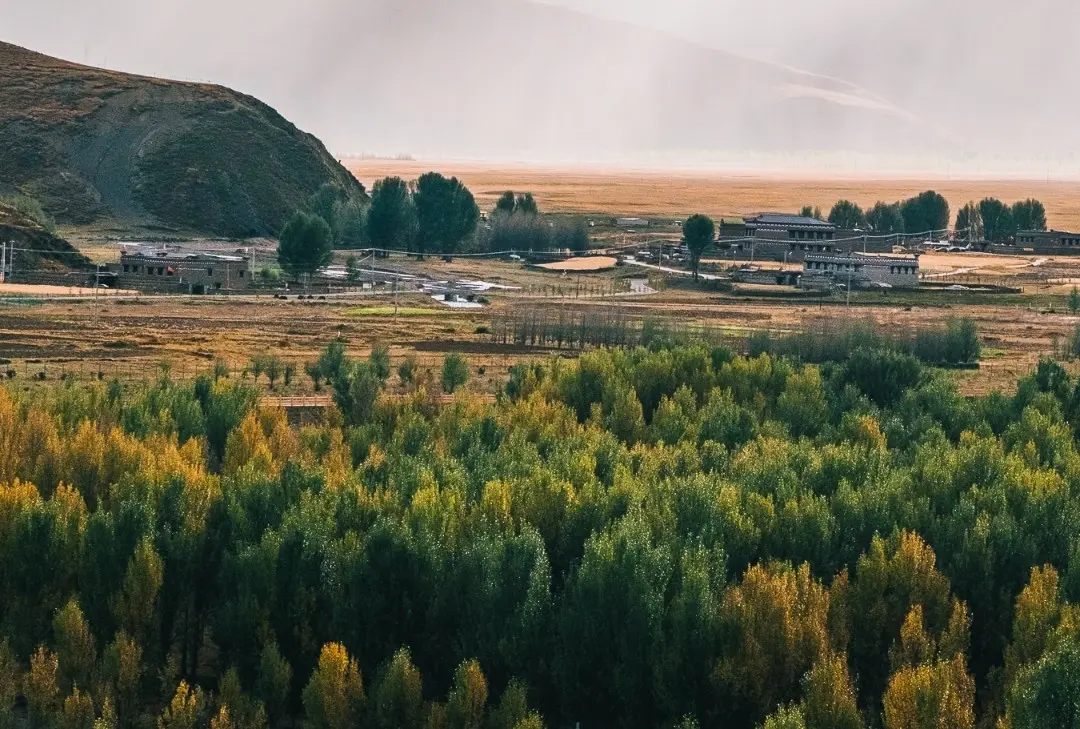 青楊林觀景台