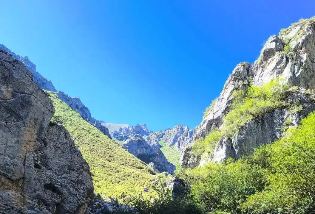 納摩大峽谷