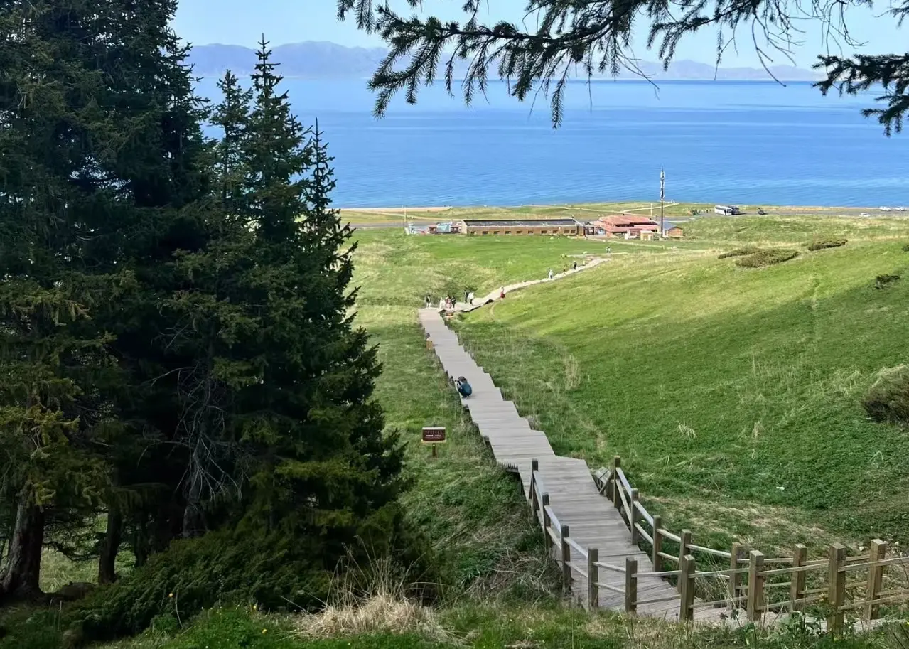 賽里木湖-松樹頭觀景台