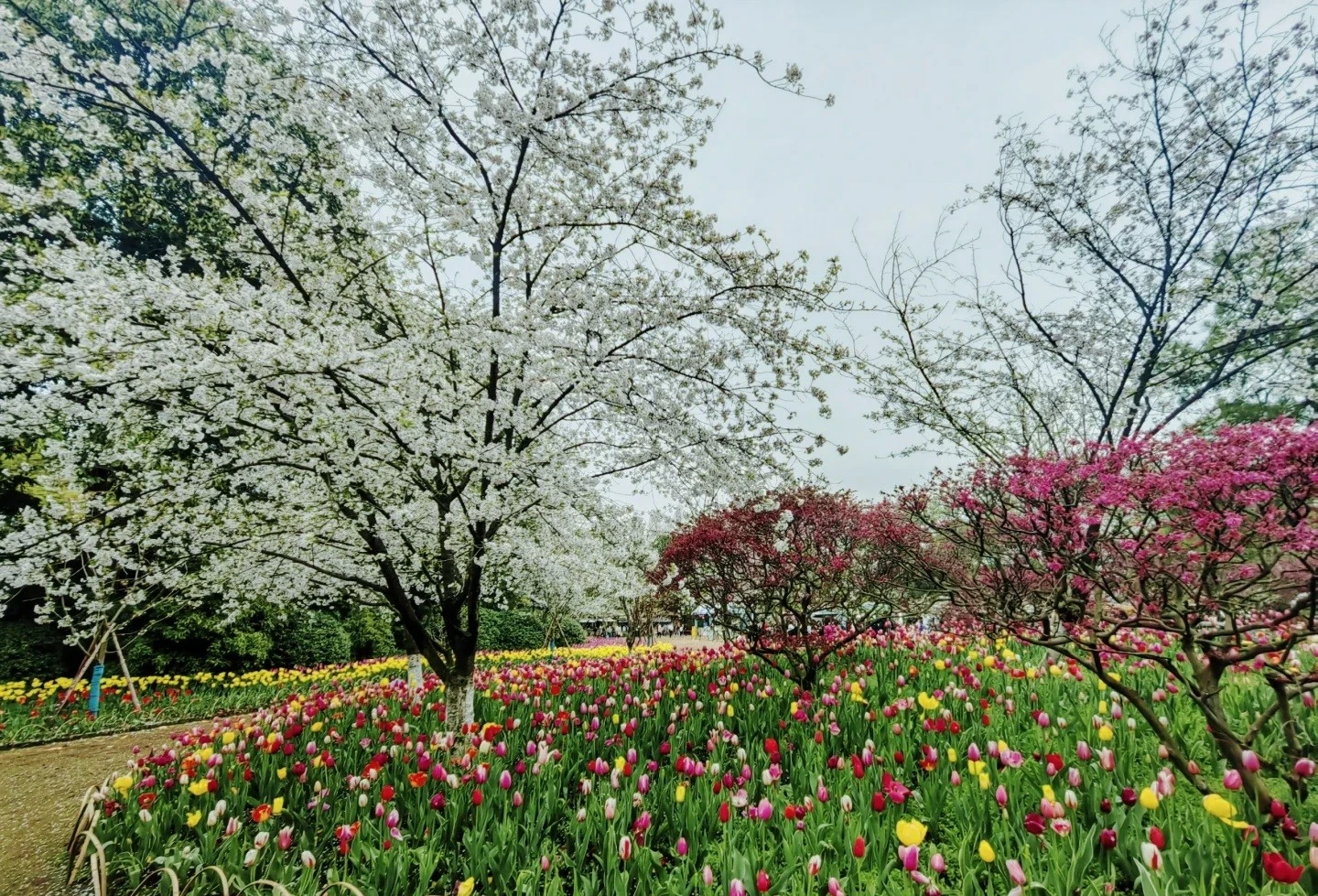 太子灣公園