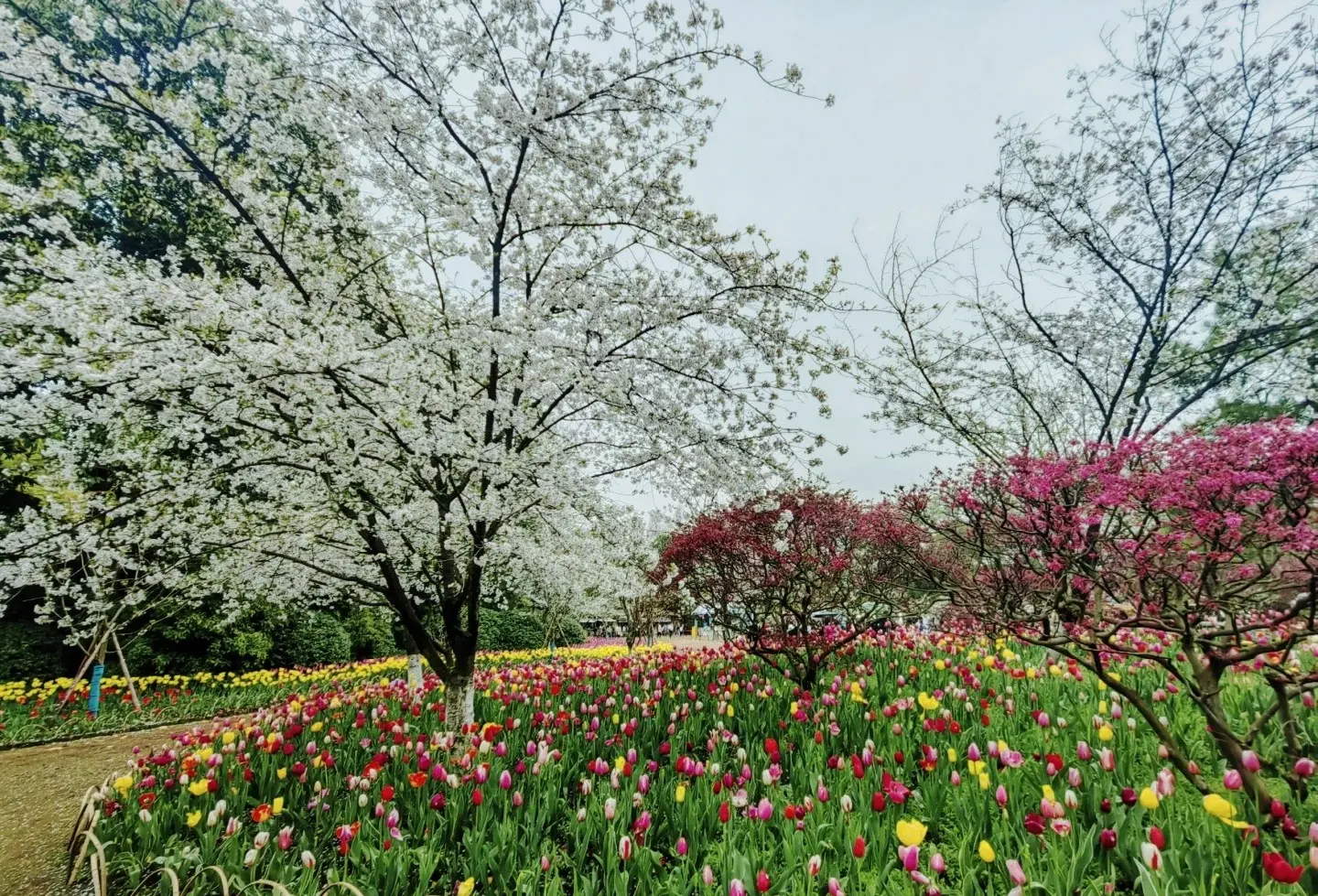 太子灣公園