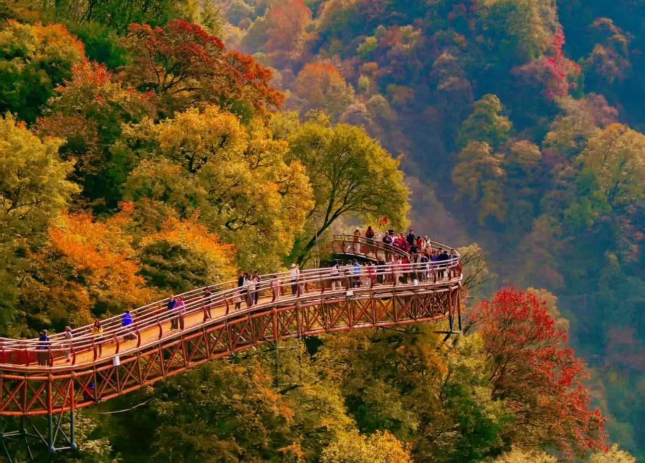 少華山