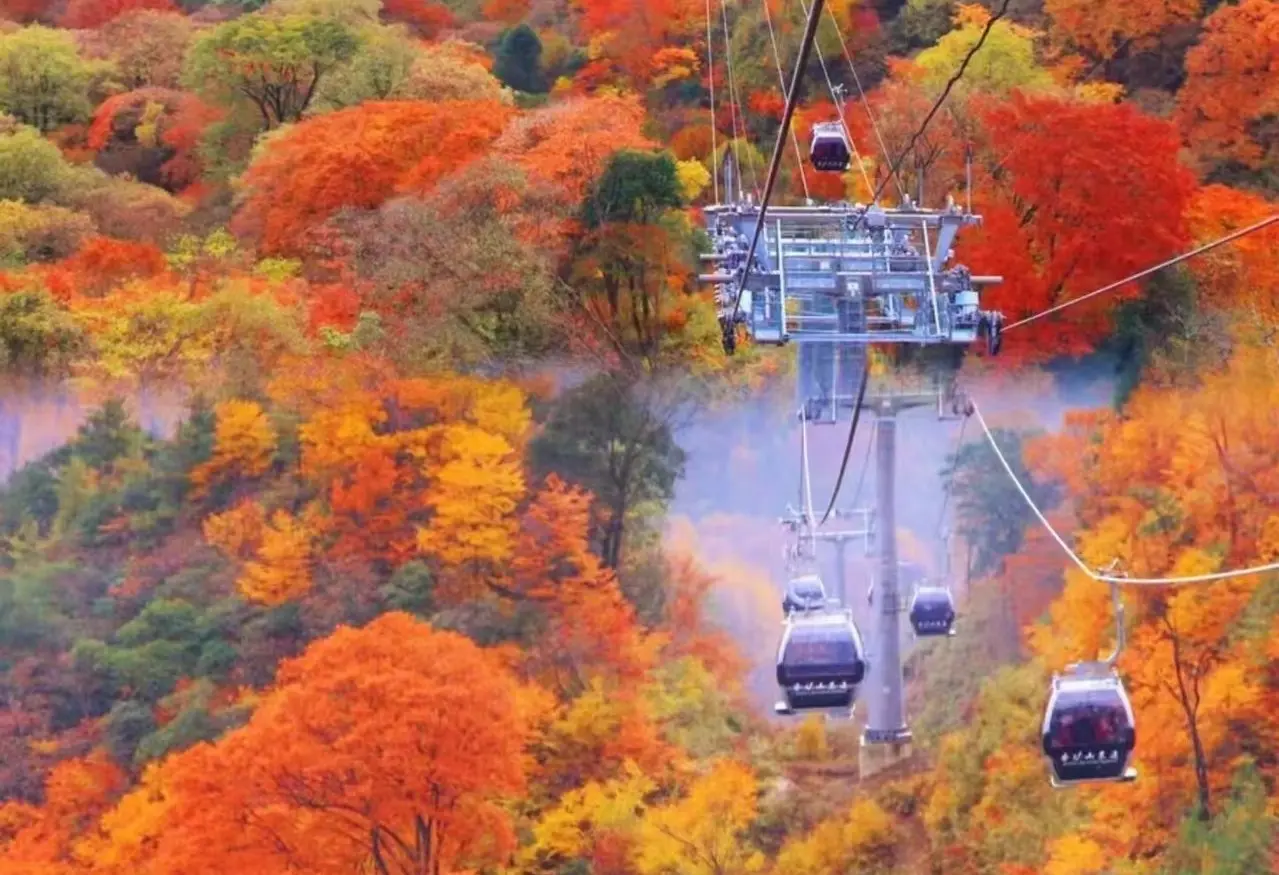 光霧山-香爐山索道