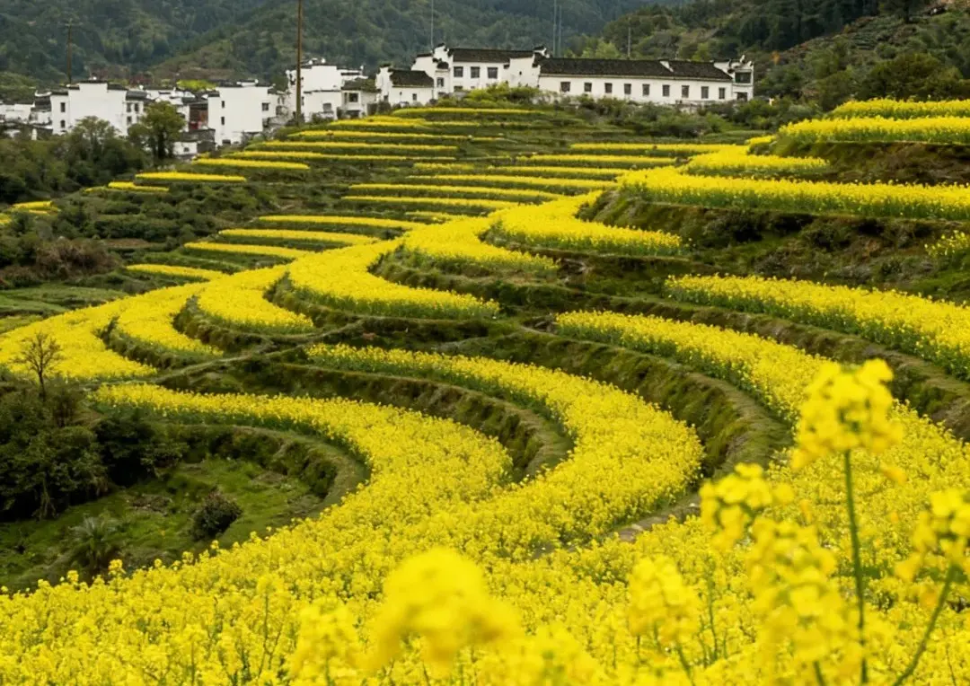 篁嶺景區