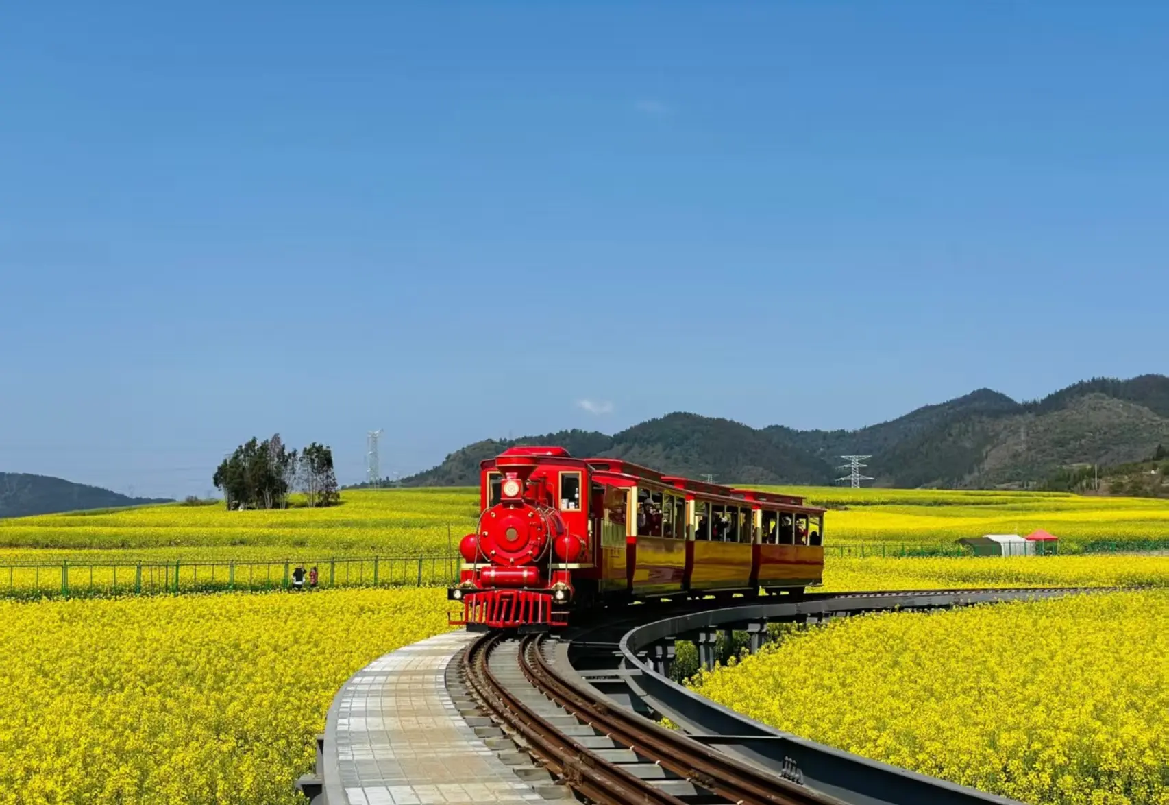 金雞峰叢花海小火車