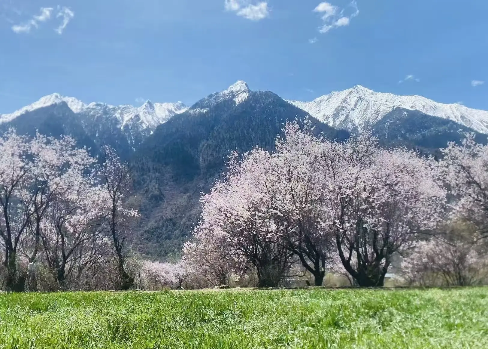 如拉村(海拔3480米)