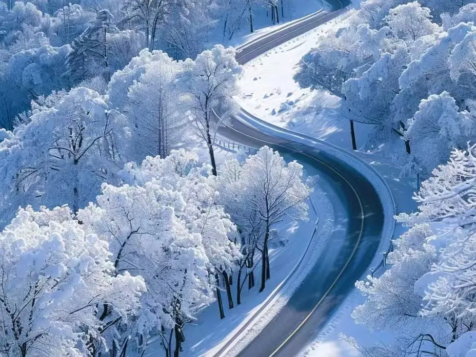 最美亞雪公路觀雪淞樹掛