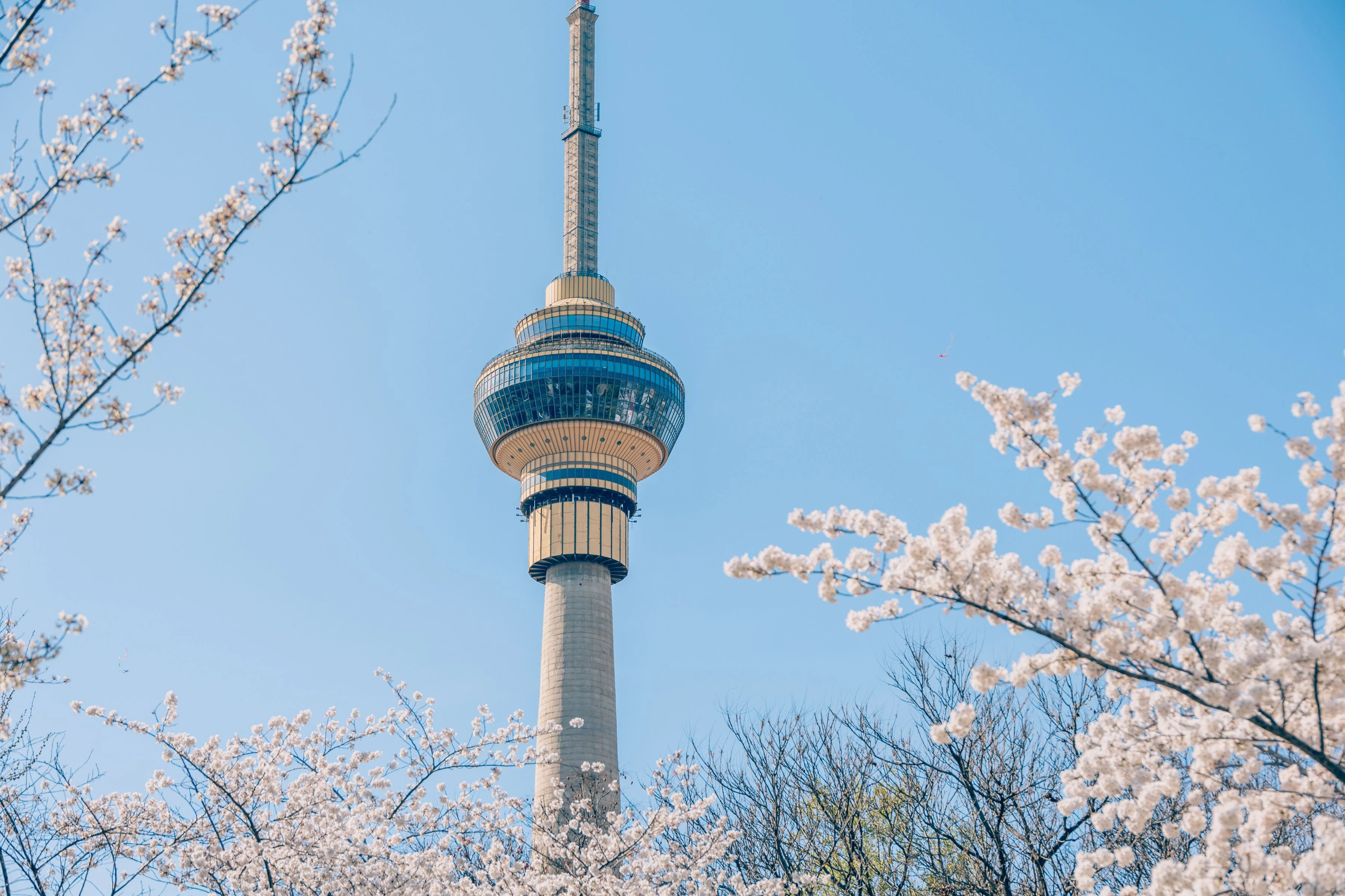 晴友讀中：北京．承德．天津．秦皇島~玉淵潭賞櫻10日
