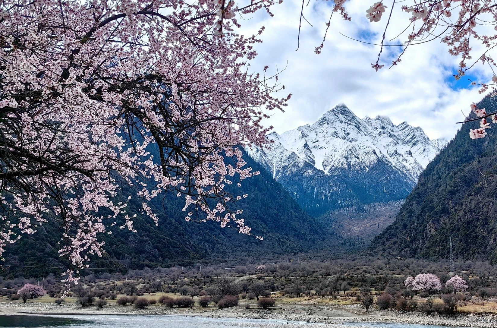 晴友讀中：西藏峰景聖湖.青藏鐵路-林芝桃花季(重慶進)13日