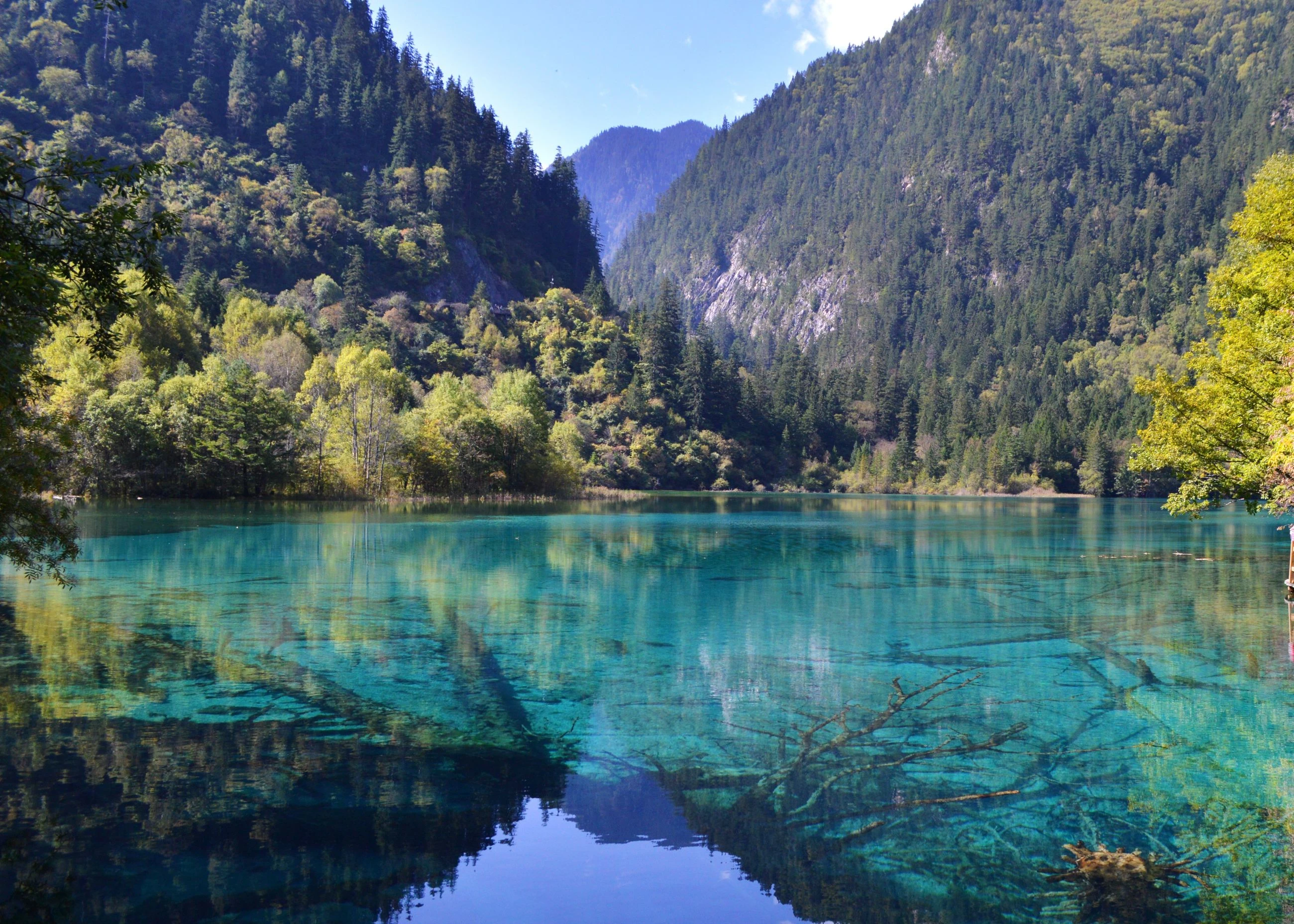 晴友讀中：張家界+九寨溝.極盡山水11日