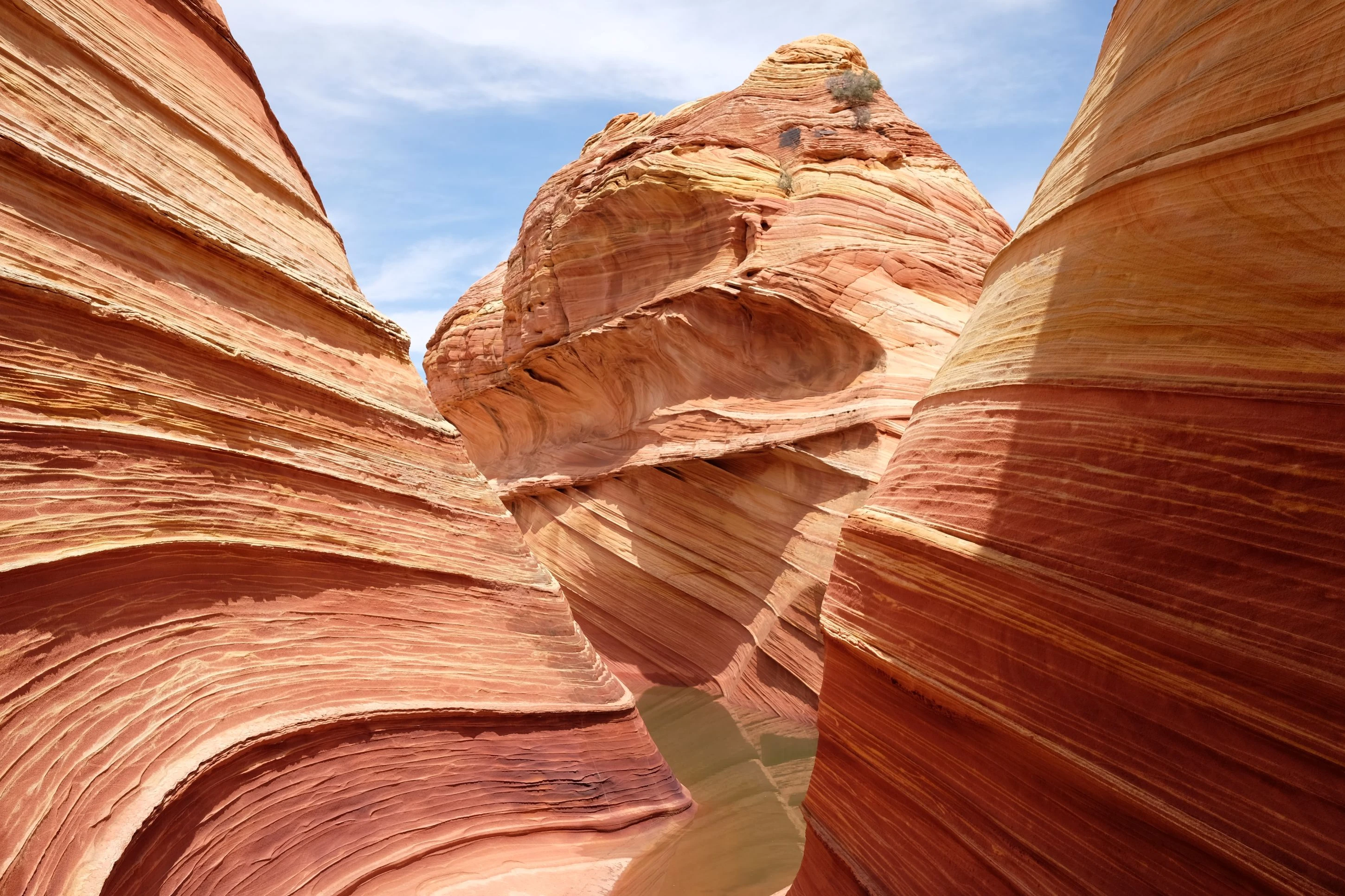 晴友讀中：寧夏西夏遺韻.陝北丹霞赤壁10日