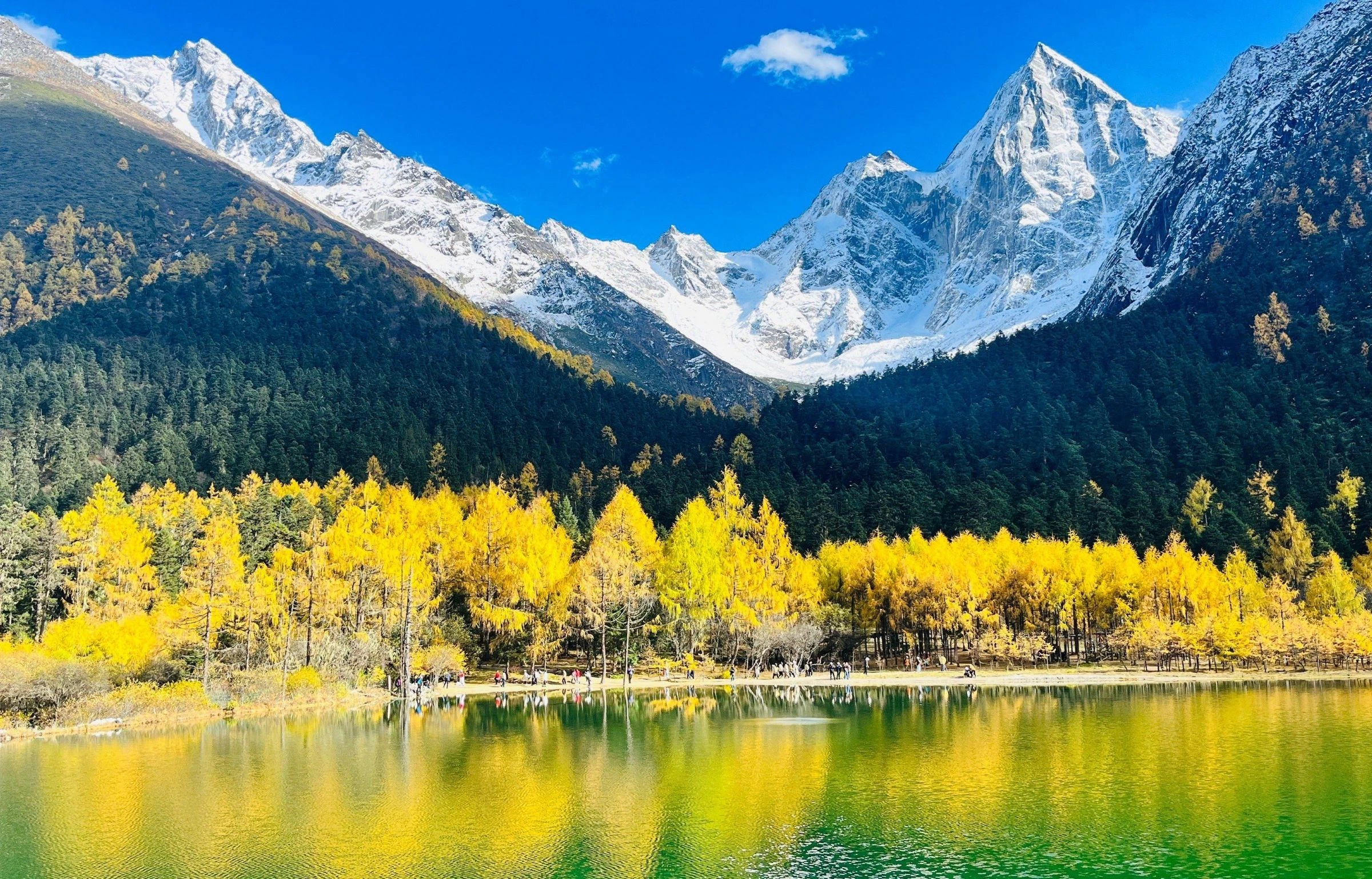 晴友讀中：九寨溝.川西小瑞士8日