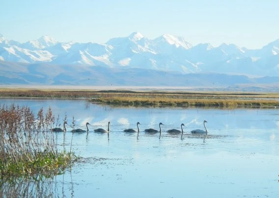 晴友讀中：北疆麗水天山峻.湖光山色牧歌行12日