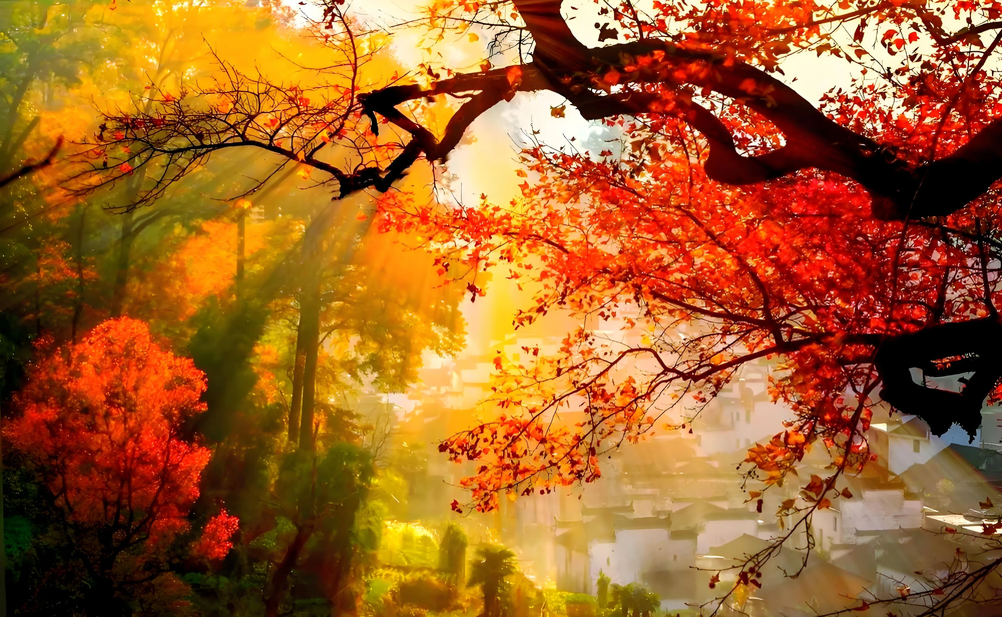 晴友讀中：慢遊江西~婺源秋意濃11日