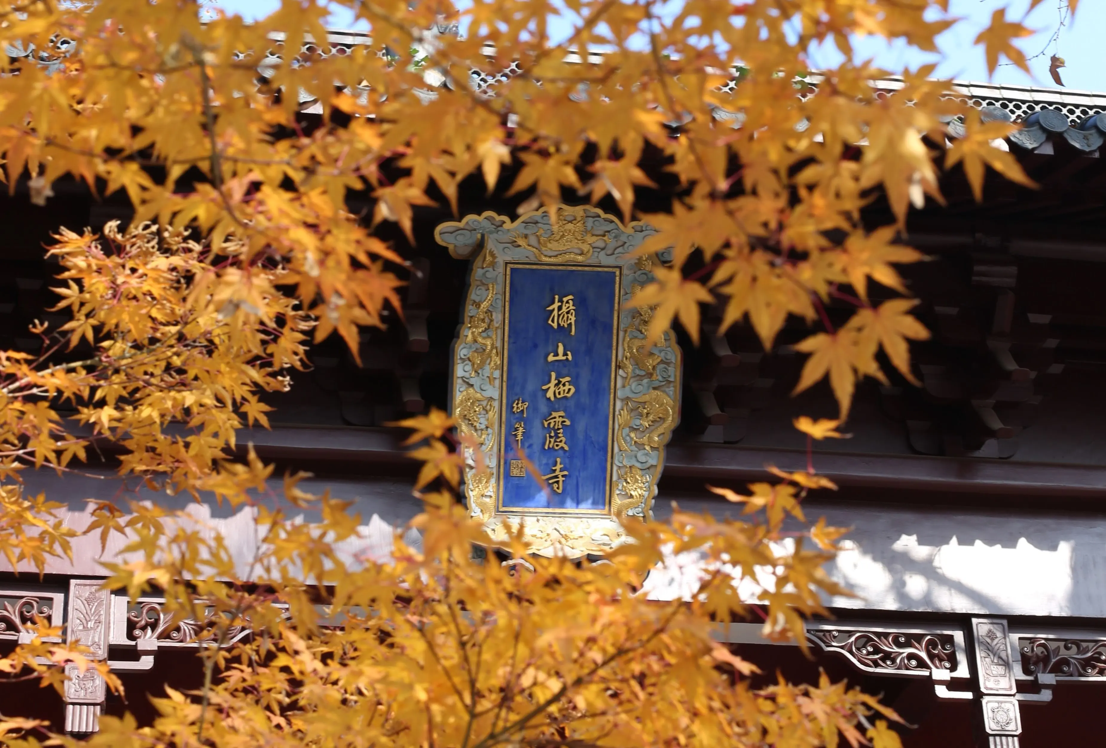 晴友讀中：江南雙水鄉.八大菜系全品~棲霞山秋色8日