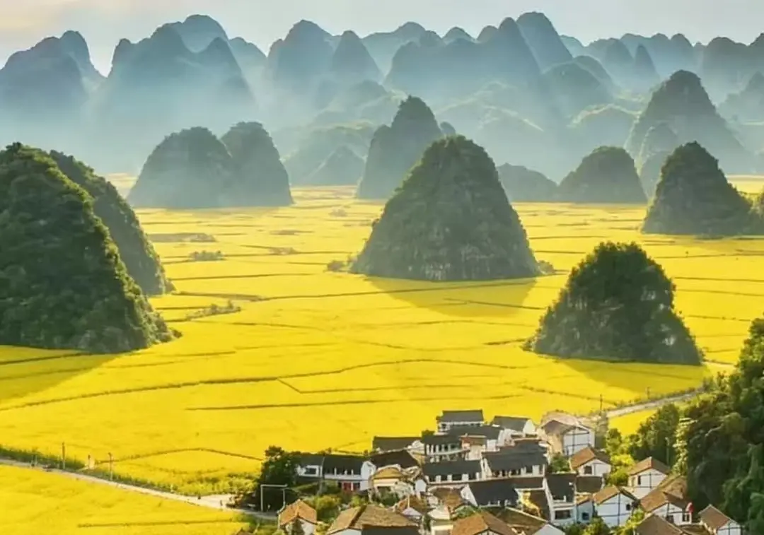 晴友讀中：貴州奇峰碧水-羅平油菜花季10日