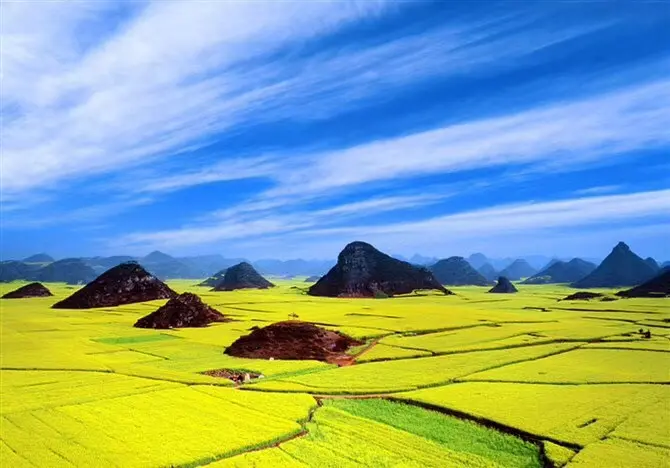 晴友讀中：東川紅土地.元陽梯田.西雙版納~羅平油菜花季10日